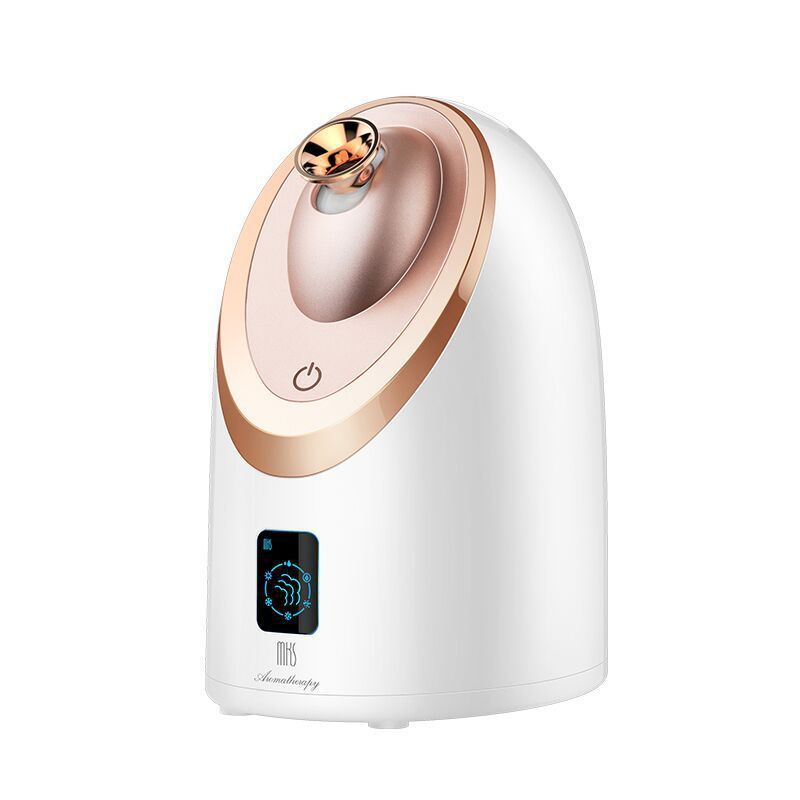 Facial Steamer Nano Spray