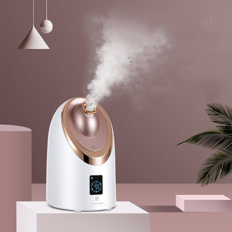 Facial Steamer Nano Spray