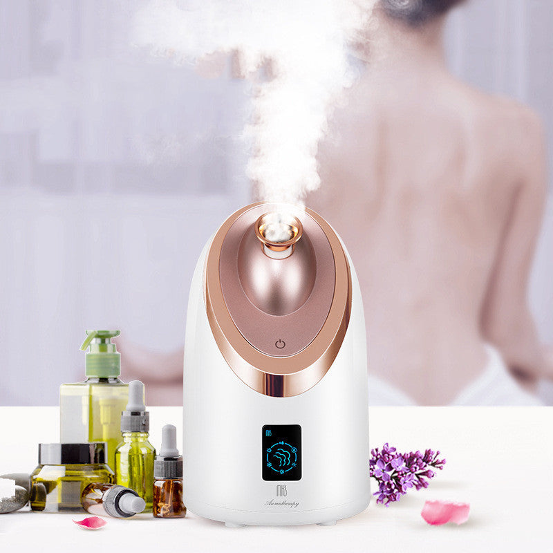 Facial Steamer Nano Spray