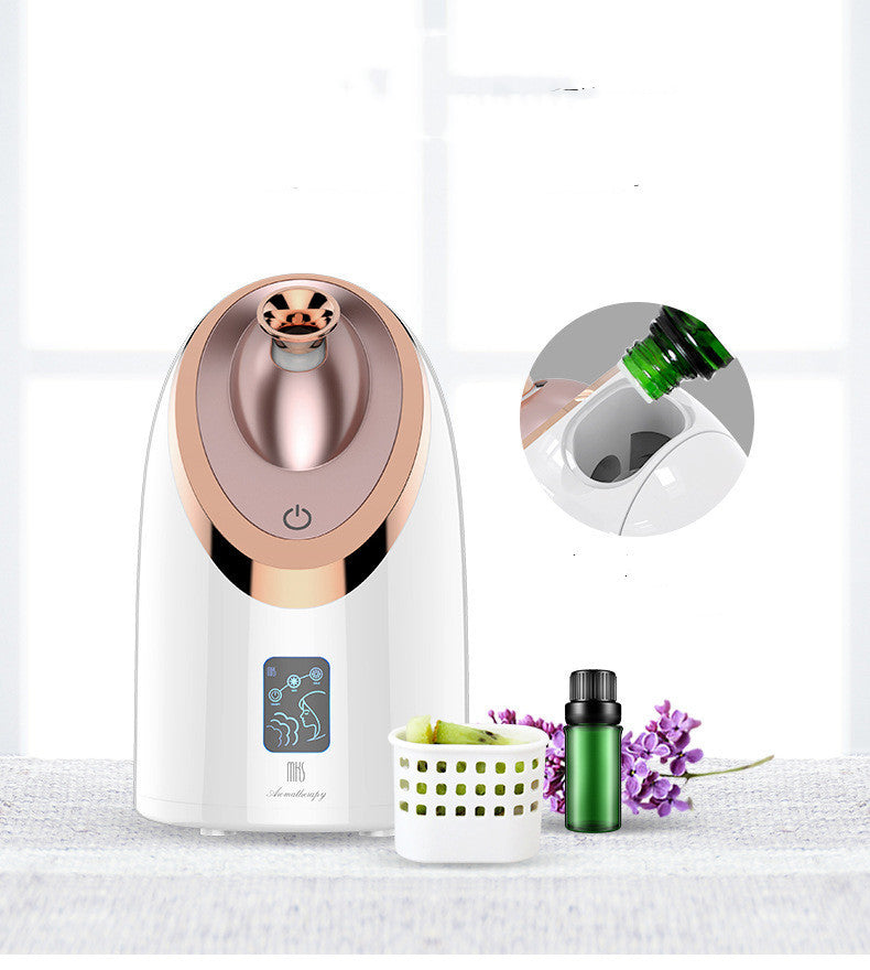 Facial Steamer Nano Spray